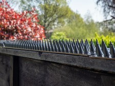 Fence Wall Spikes Garden