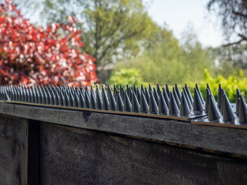 Fence wall spikes - fence,