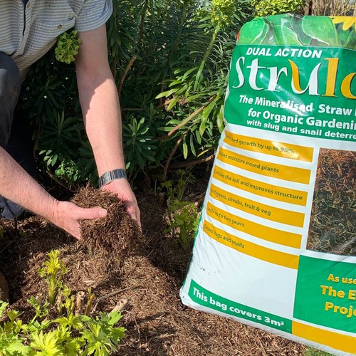 Garden mulch strulch - garden, strulch,