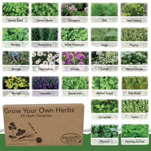 Herb seeds mix 24 - uk,