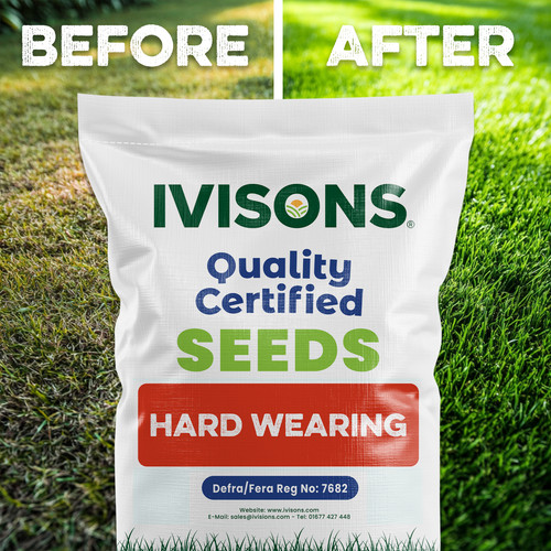 Grass seed hardwearing fast - seed,