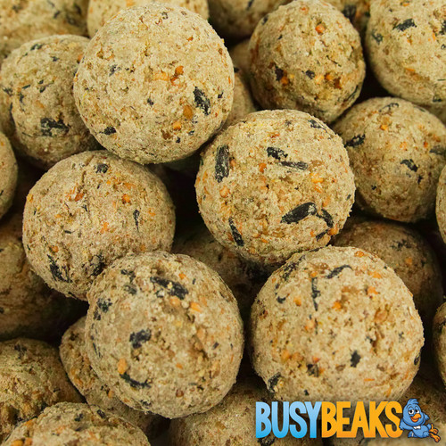 Busybeaks suet fat balls - fat,