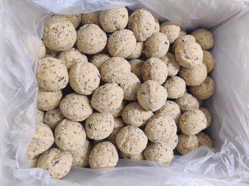 Premium fat balls pack - balls, 50