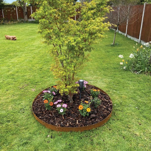 Garden tree rings - rings, 3