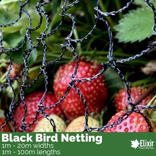Black Bird Netting | 1m 2m 4m