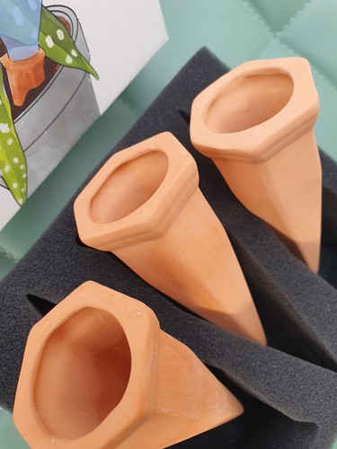 5inch terracotta plant - 6,