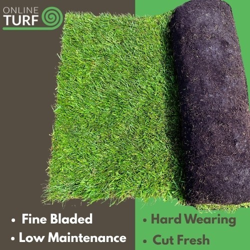 Lawn turf seeded - turf,