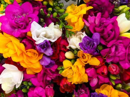Bulbs mixed bag - mixed, of
