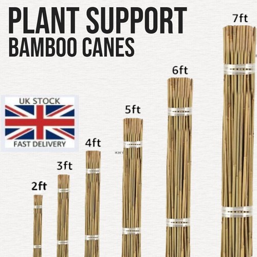 7 ft bamboo garden - 2,