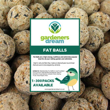 GardenersDream Suet Fat Balls