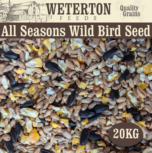 Wild bird seed mix - seed,